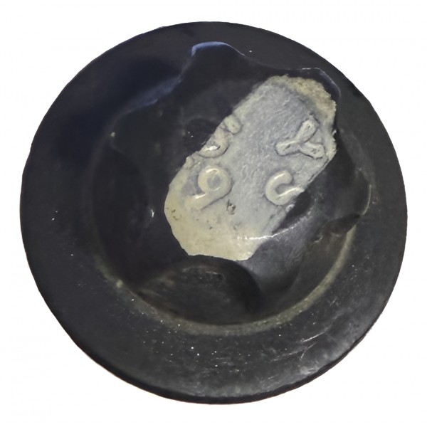 Parafuso Gremalheira S10 2020 Original.