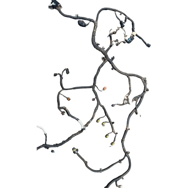 Chicote Motor S10 2.8 2022 Original