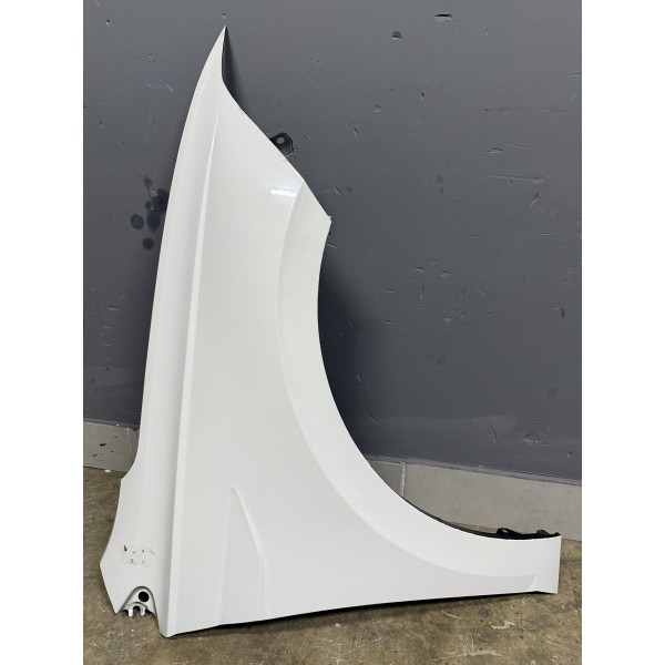 Paralama Volkswagen Virtus 2023 Lado Direito