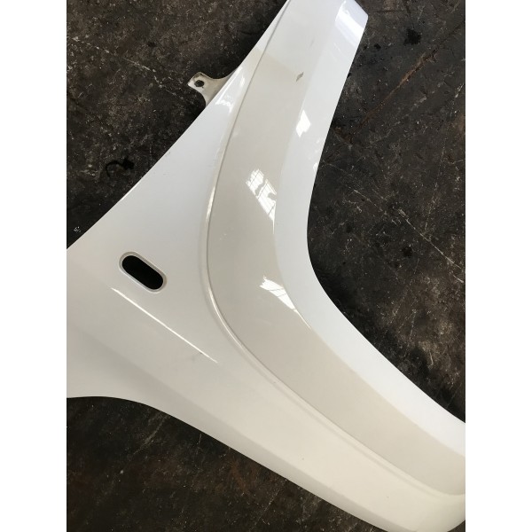 Pára-lama Dianteiro Esquerdo  Amarok 2019 Original Usado